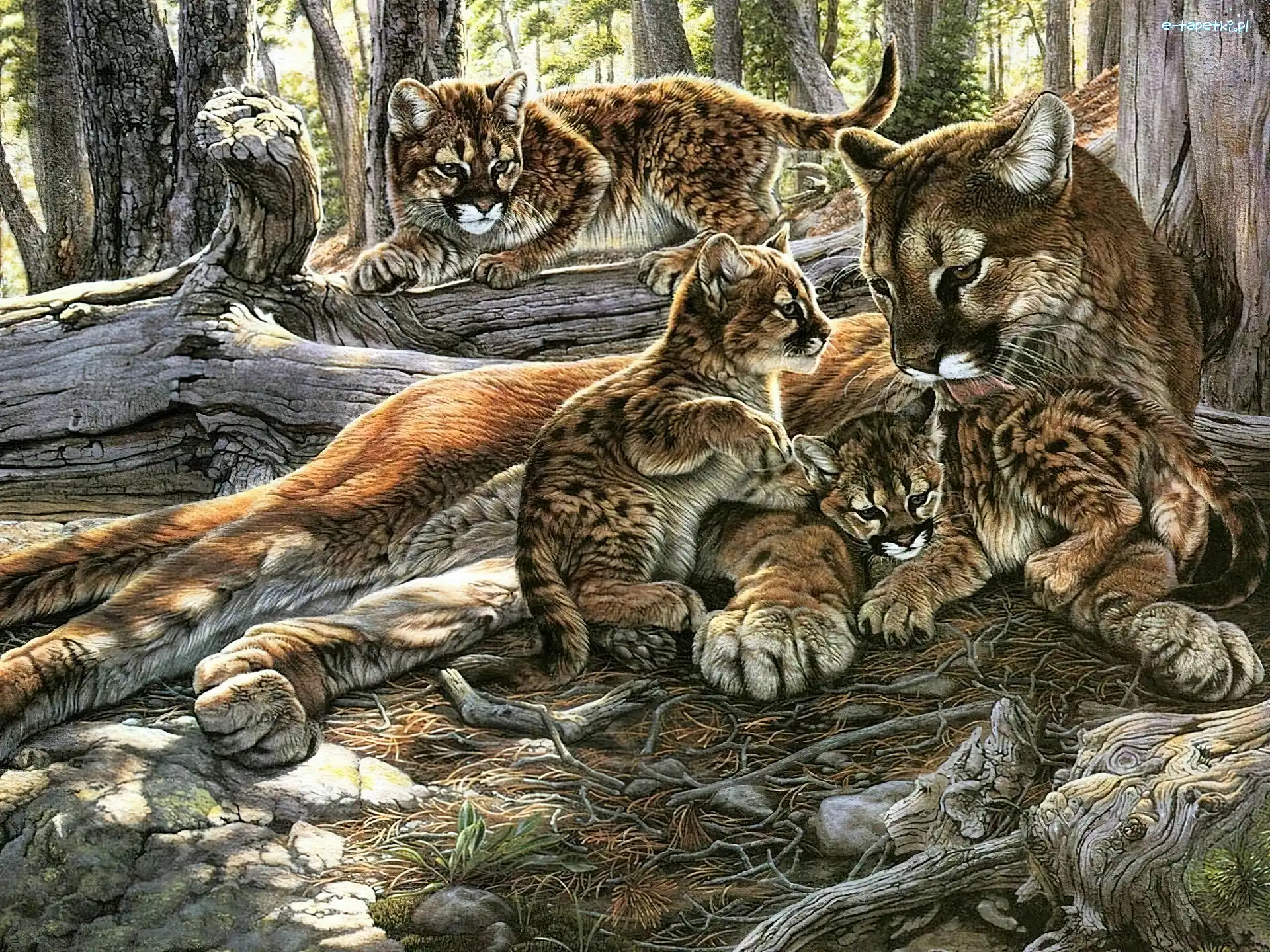 Art, Drzewa, Pumy