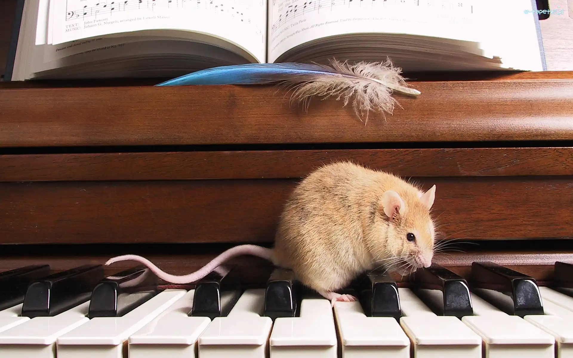 Pianino, Nuty, Klawiatura, Myszka