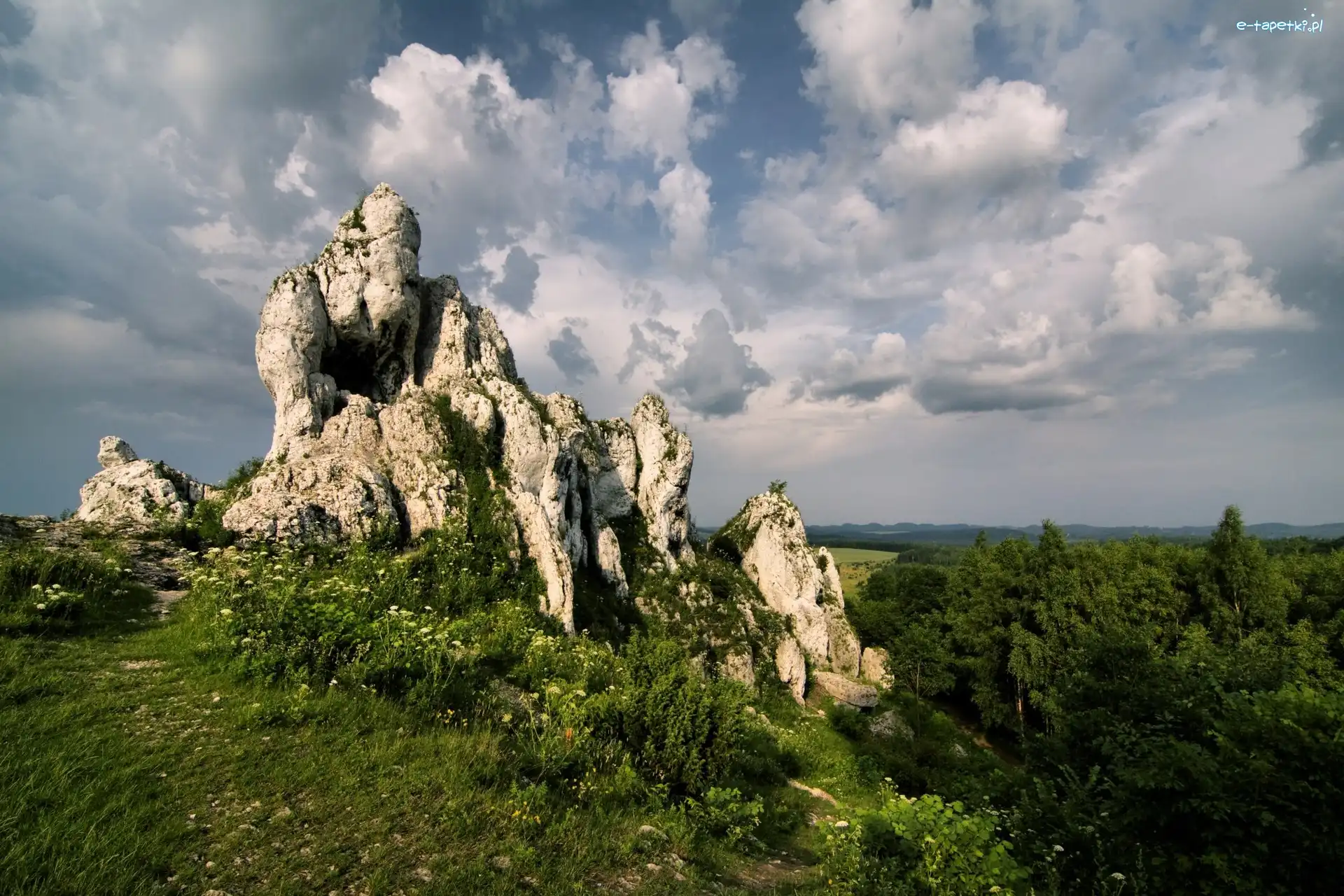 Zieleń, Niebo, Skały