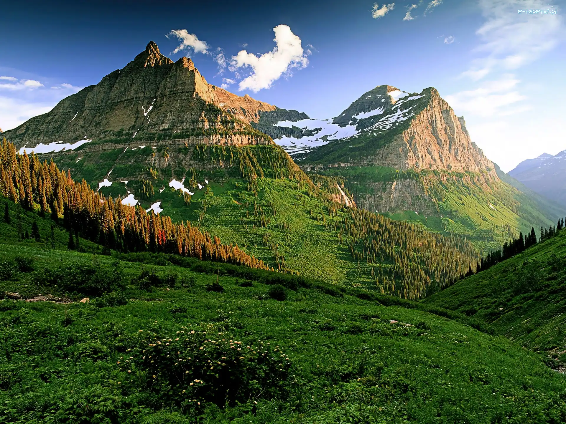 Montana, Góry, Łąka