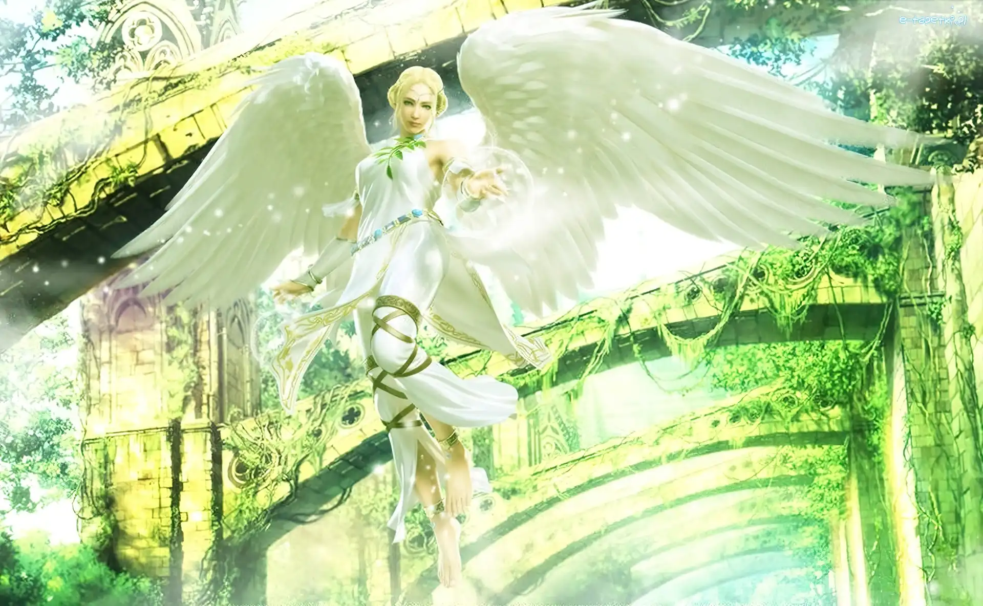 Angel, Tekken Tag Tournament 2