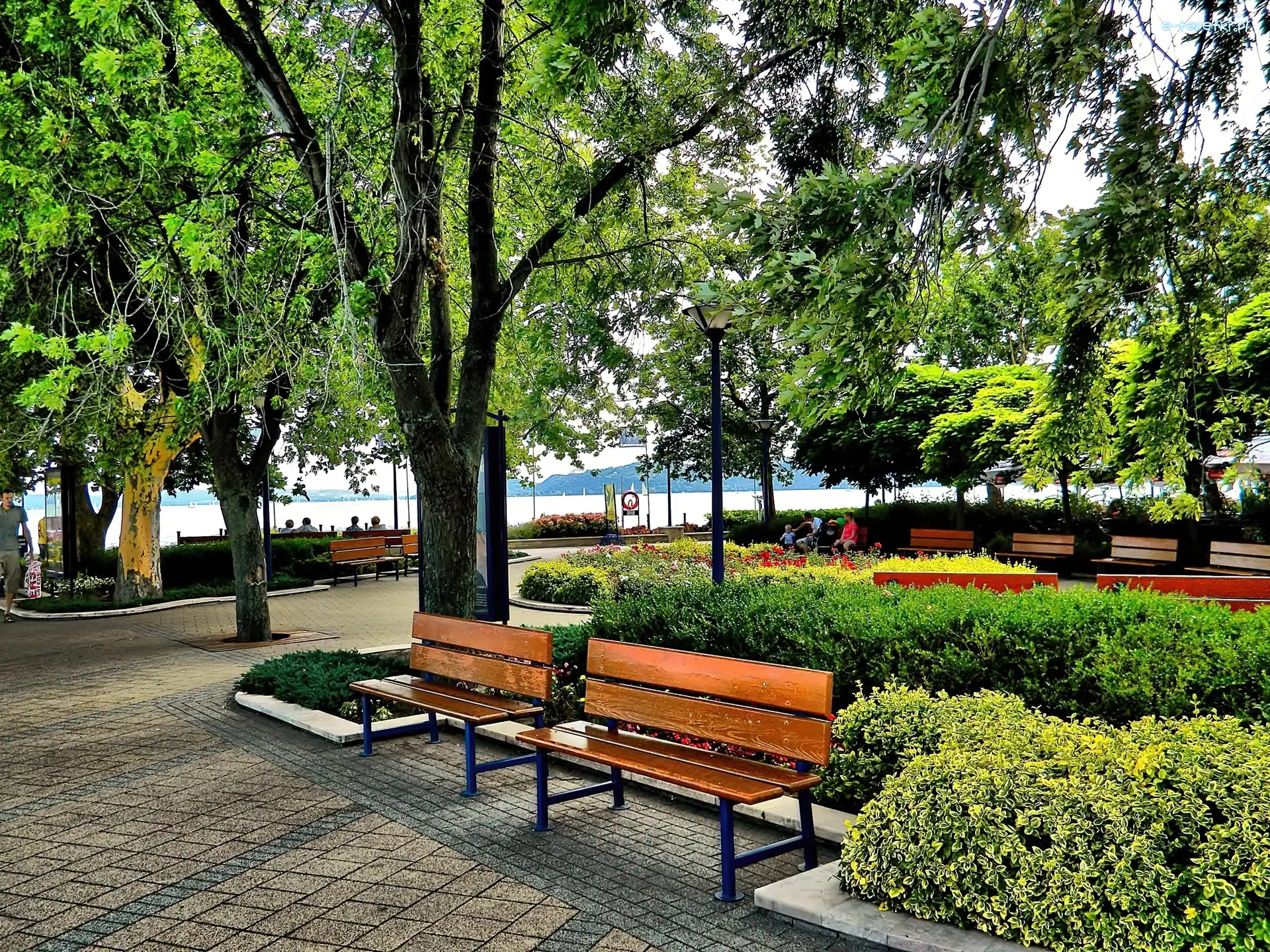 Jezioro, Ławki, Park