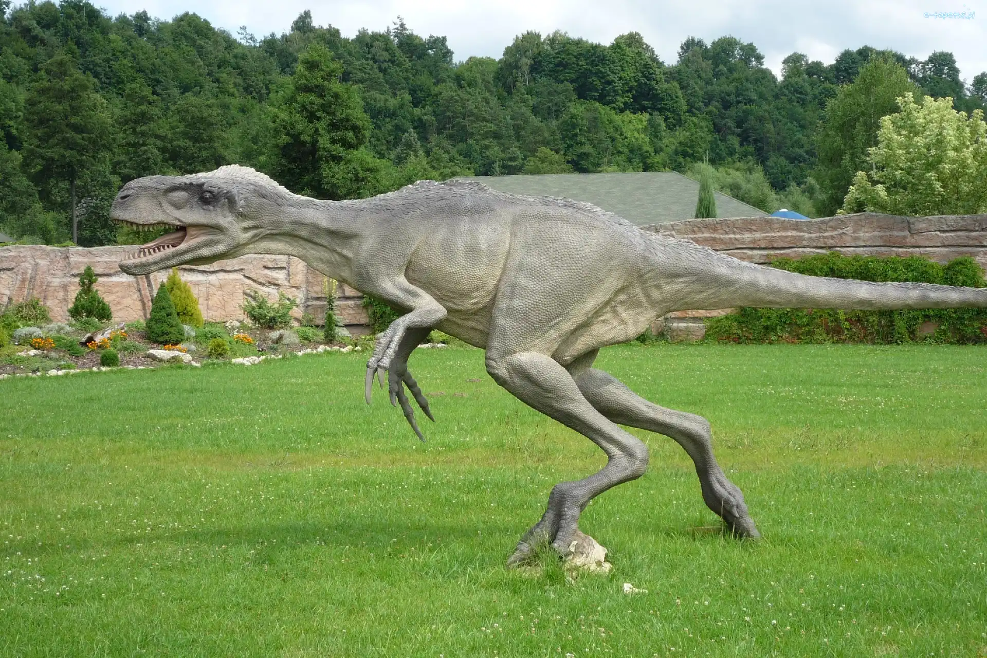 Park, Bałtów, Jurajski, Dinozaur
