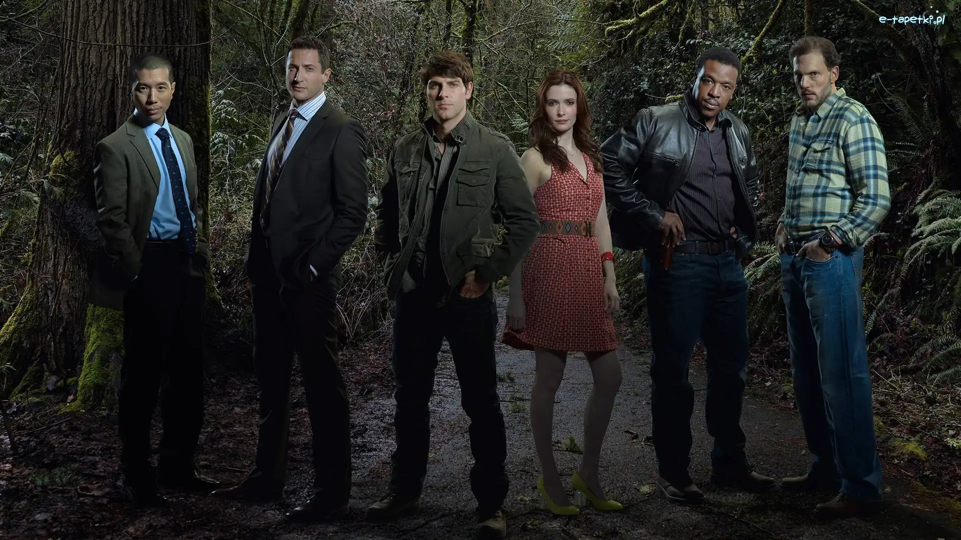 Grimm, Las, Obsada, Serial