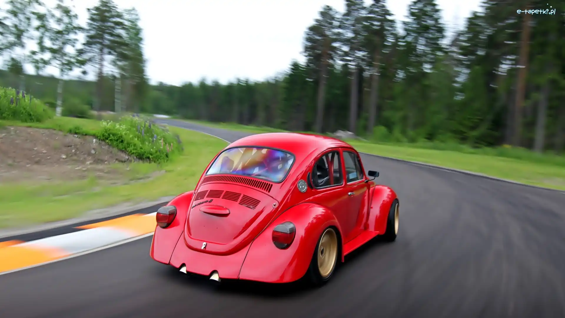 Czerwony, Garbus, Volkswagen, Las, Droga
