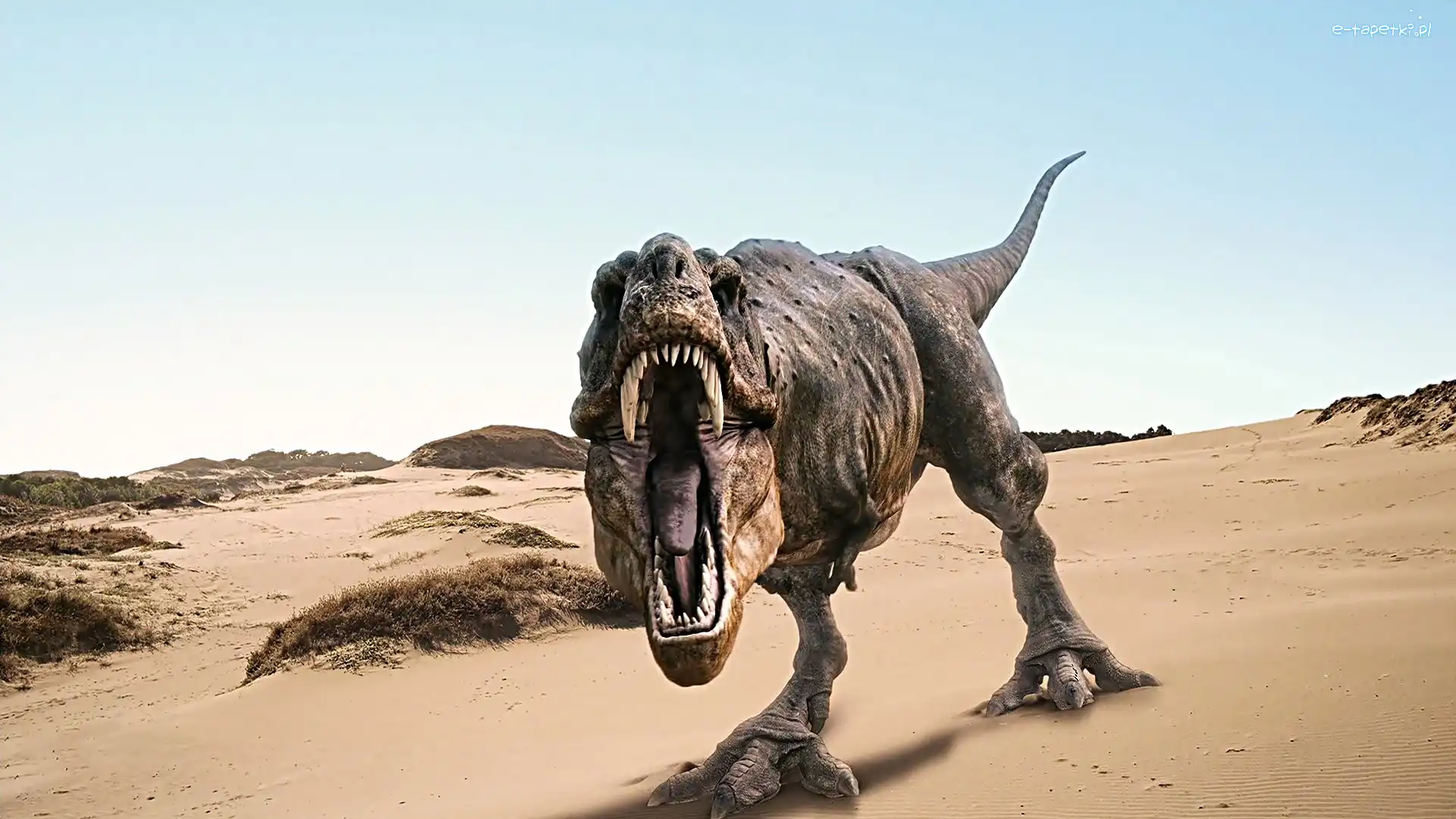 Ti-Rex, Dinozaur