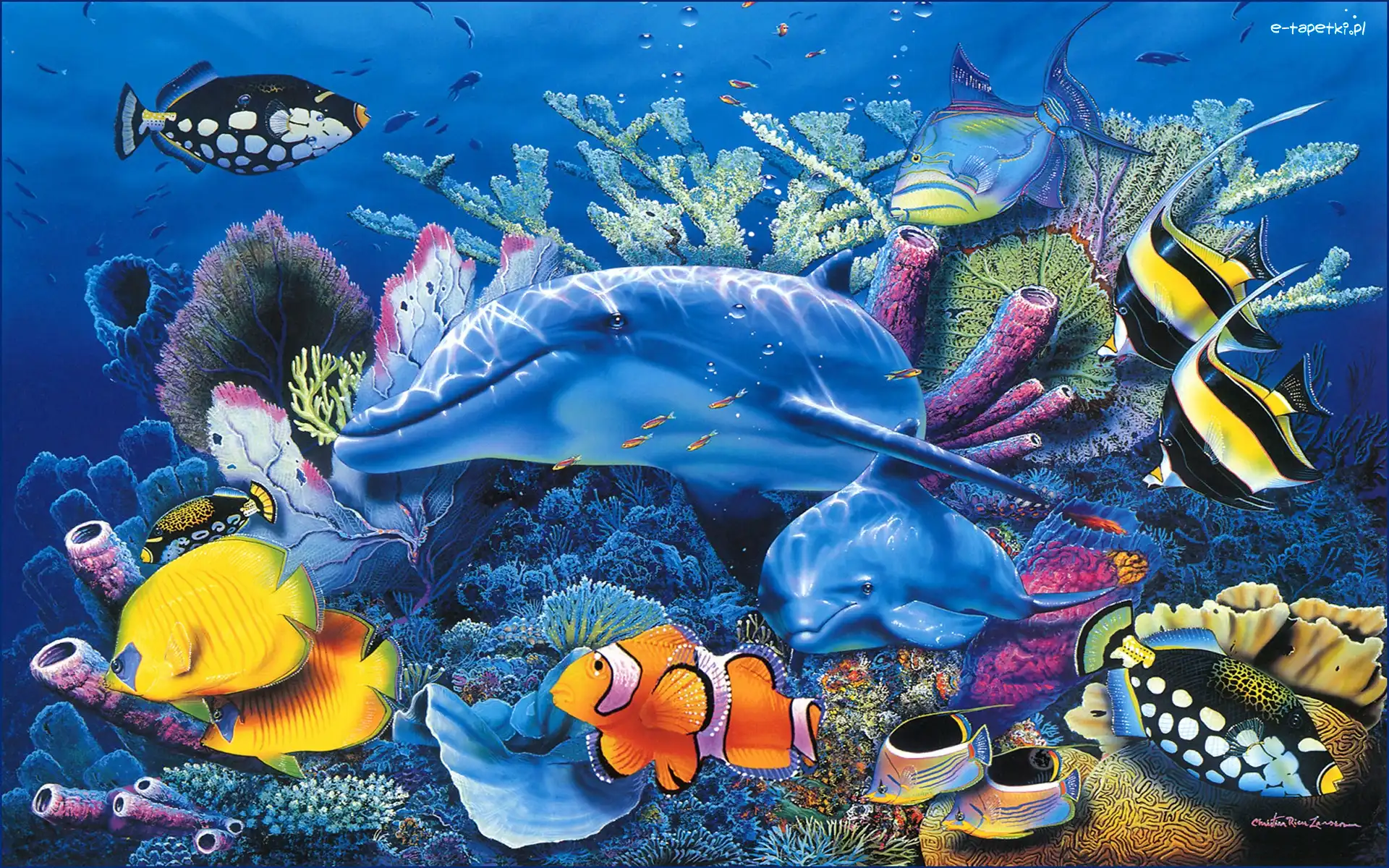 Delfin, Ryby, Akwarium