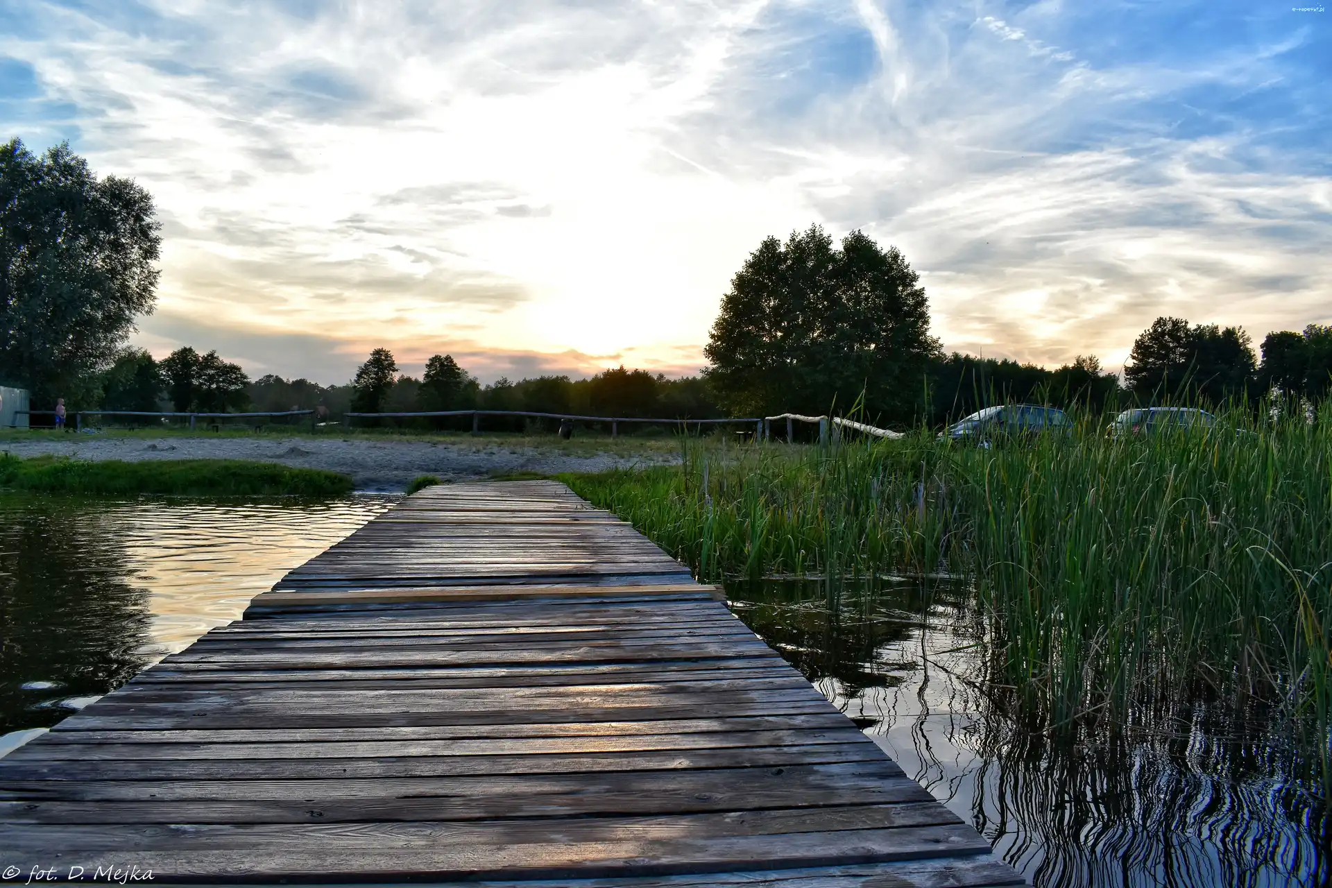 Staw, Molo