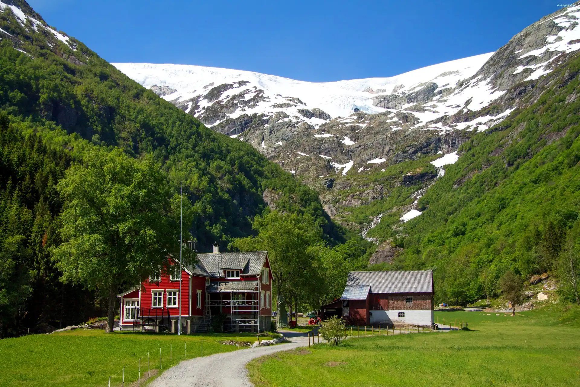 Dom, Góry, Śnieg, Odda, Norwegia, Droga, Las