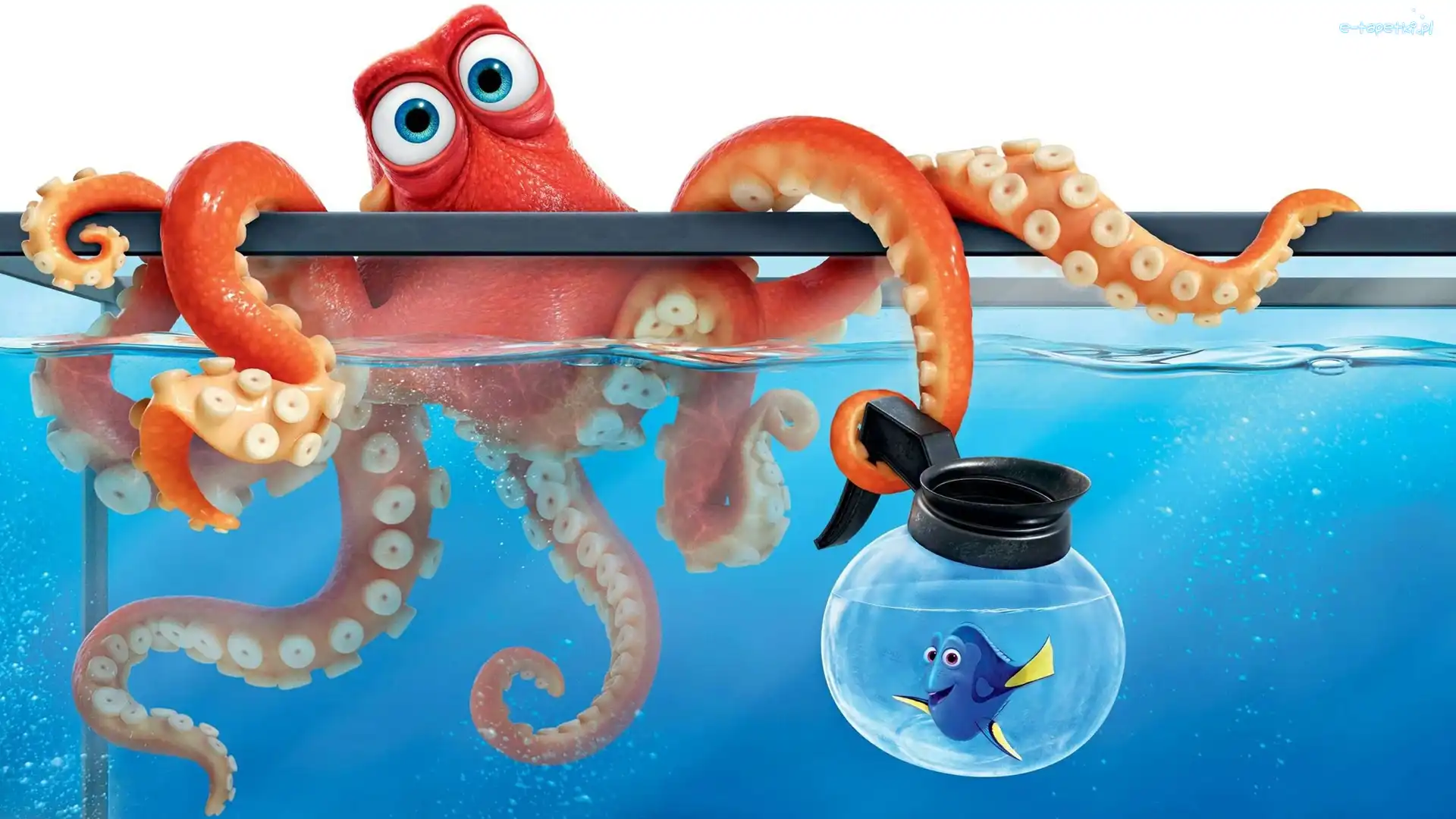 Akwarium, Finding Dory, Ośmiornica Hank, Rybka Dory, Gdzie jest Dory, Film animowany