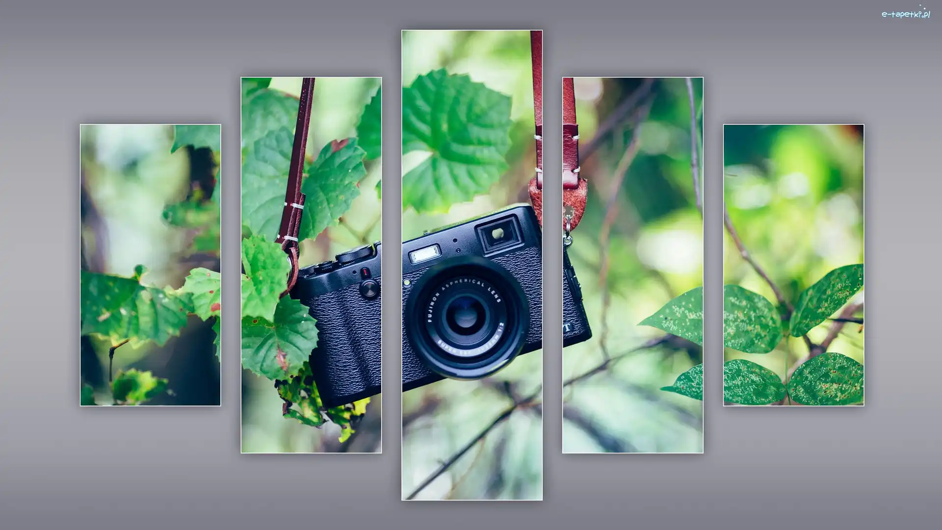 Aparat fotograficzny Fujinon Aspherical Lens, Dekoracja, Obrazy