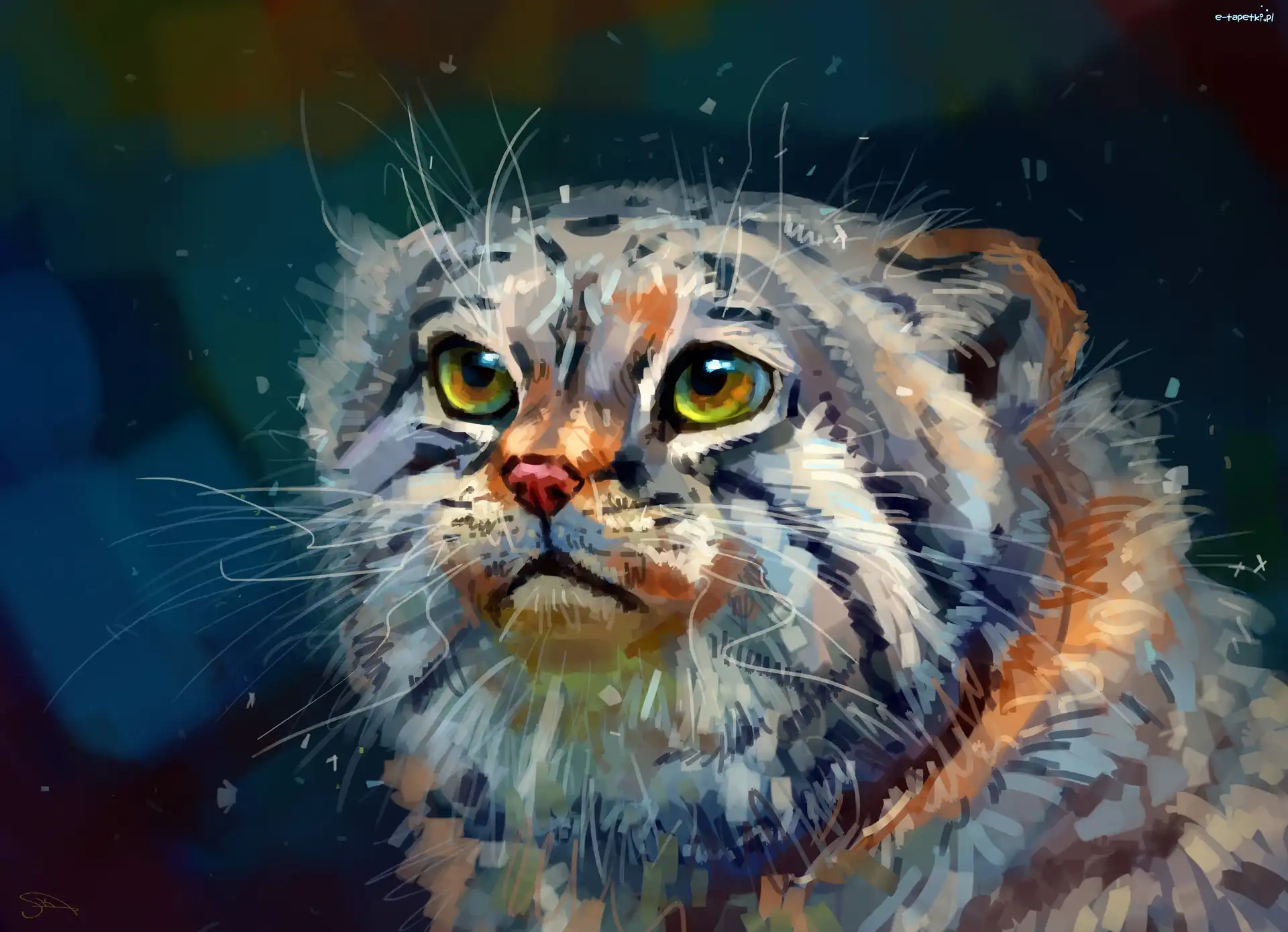 Grafika, Manul