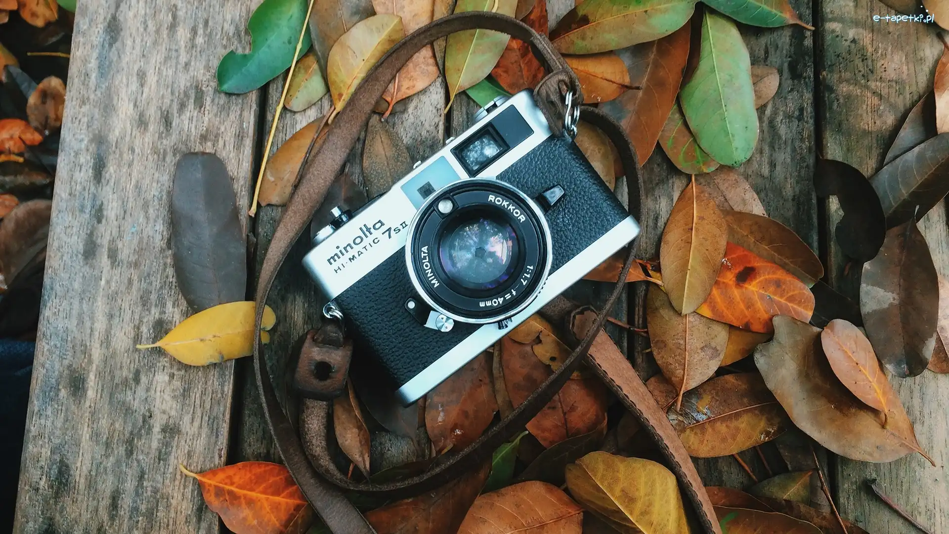 Liście, Minolta Hi-Matic 7SII, Aparat fotograficzny