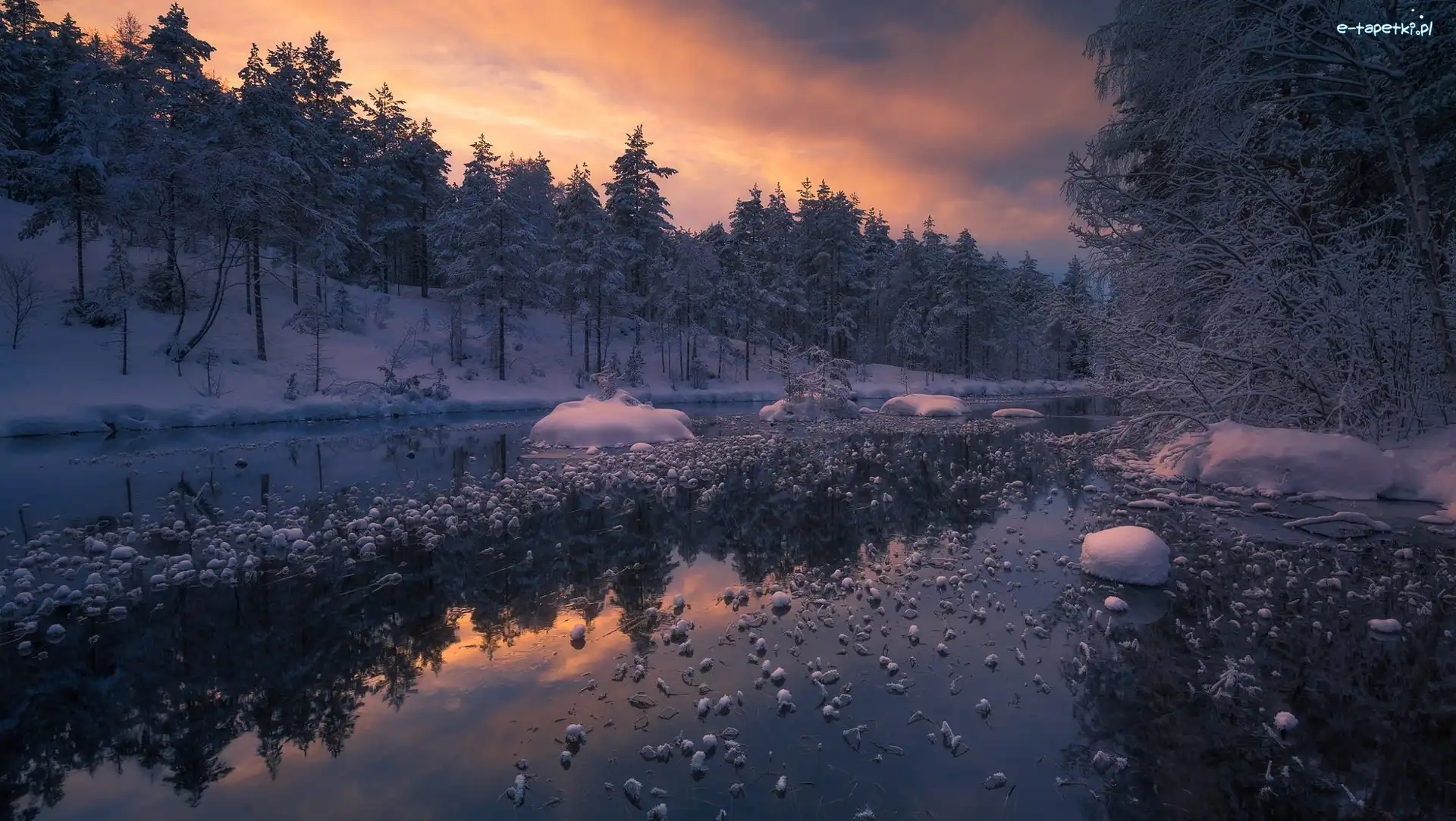 Norwegia, Drzewa, Ringerike, Jezioro, Zima