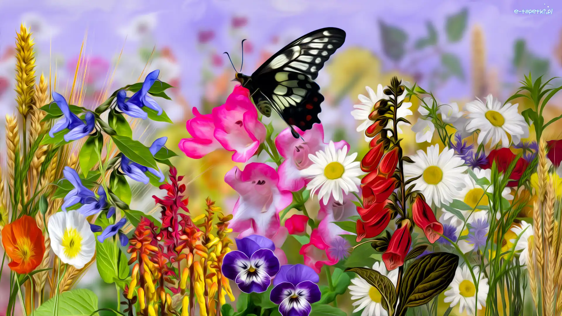 Czarny, Grafika, Motyl, Kwiaty