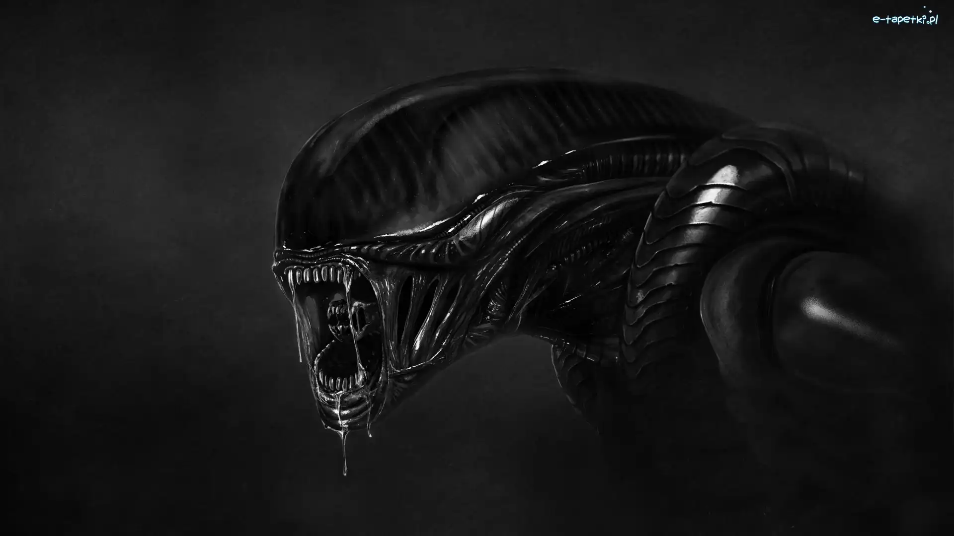 Grafika, Alien, Czarno-białe, Film, Obcy