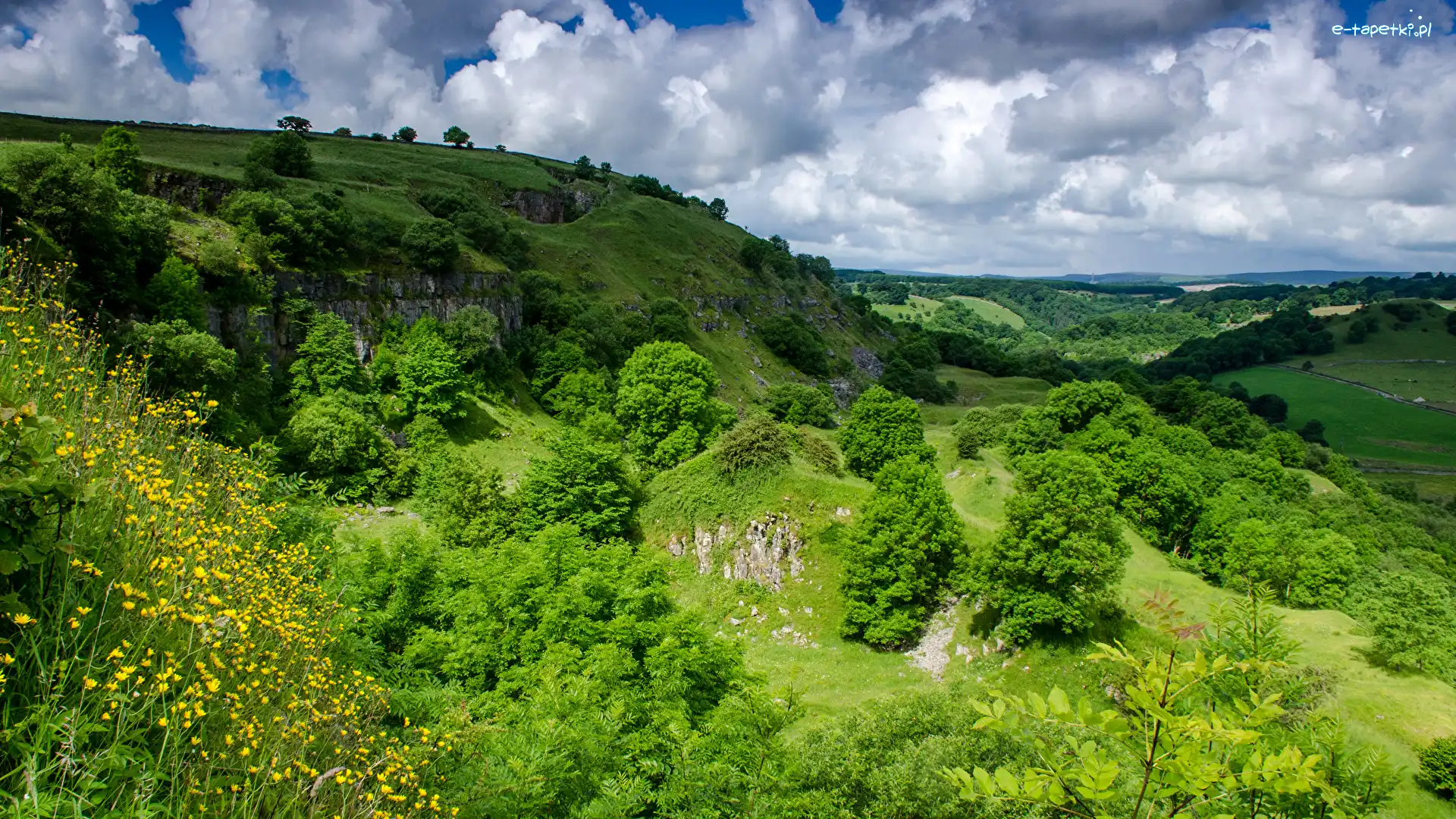 Krzewy, Drzewa, Trawa, Chmury, Wzgórza, Zielone