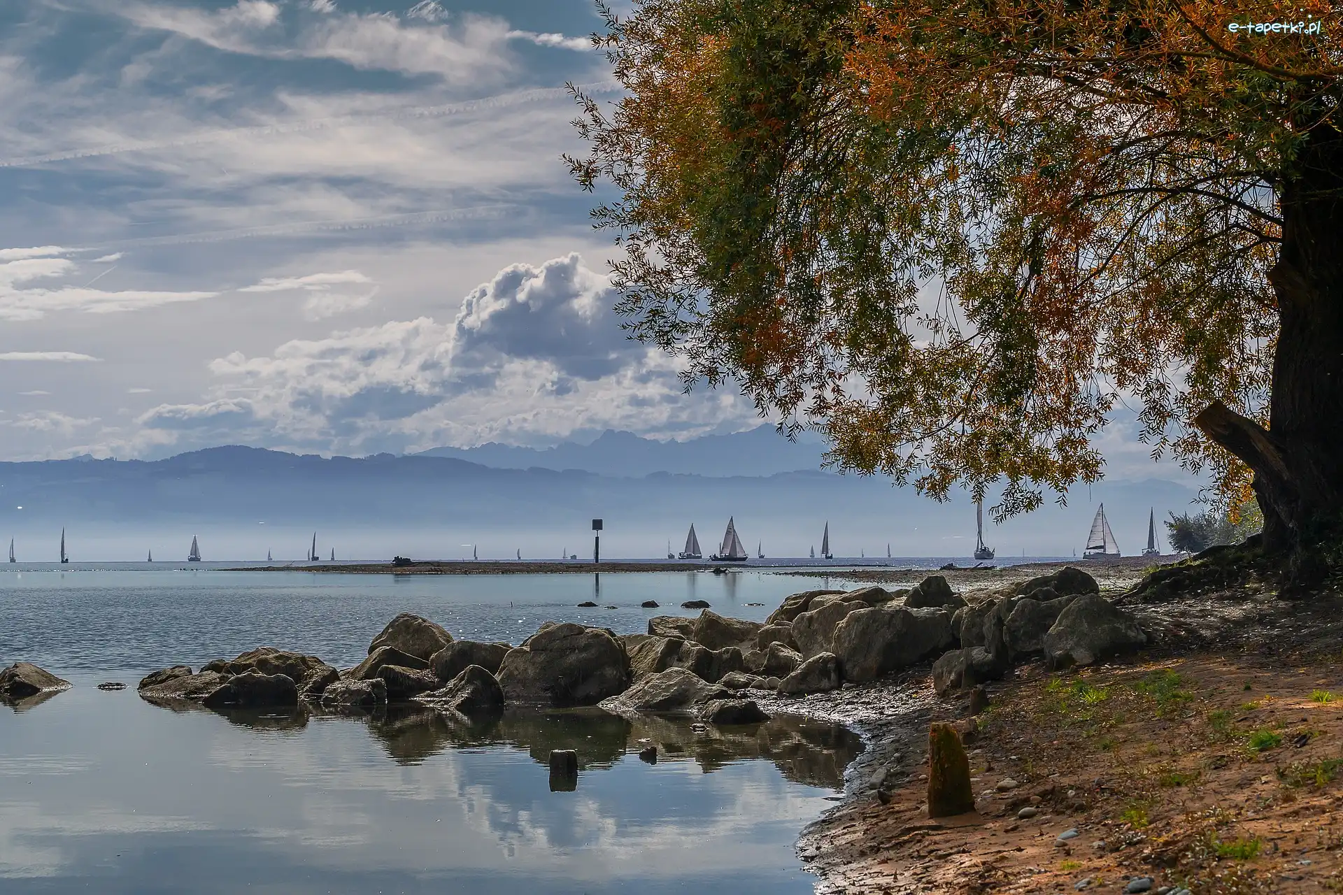 Kamienie, Brzeg, Drzewa, Chmury, Żaglówki, Jezioro Bodeńskie