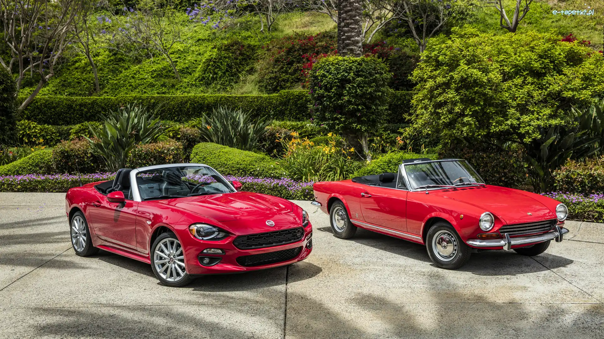 Fiat 124 Spider, Samochody, Czerwone
