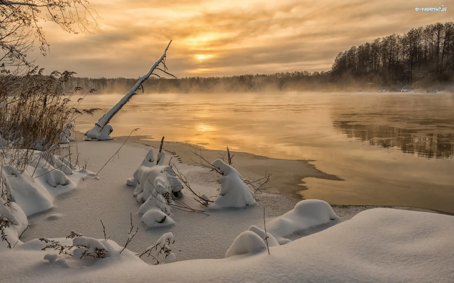 Zima, Śnieg, Jezioro, Mgła, Las