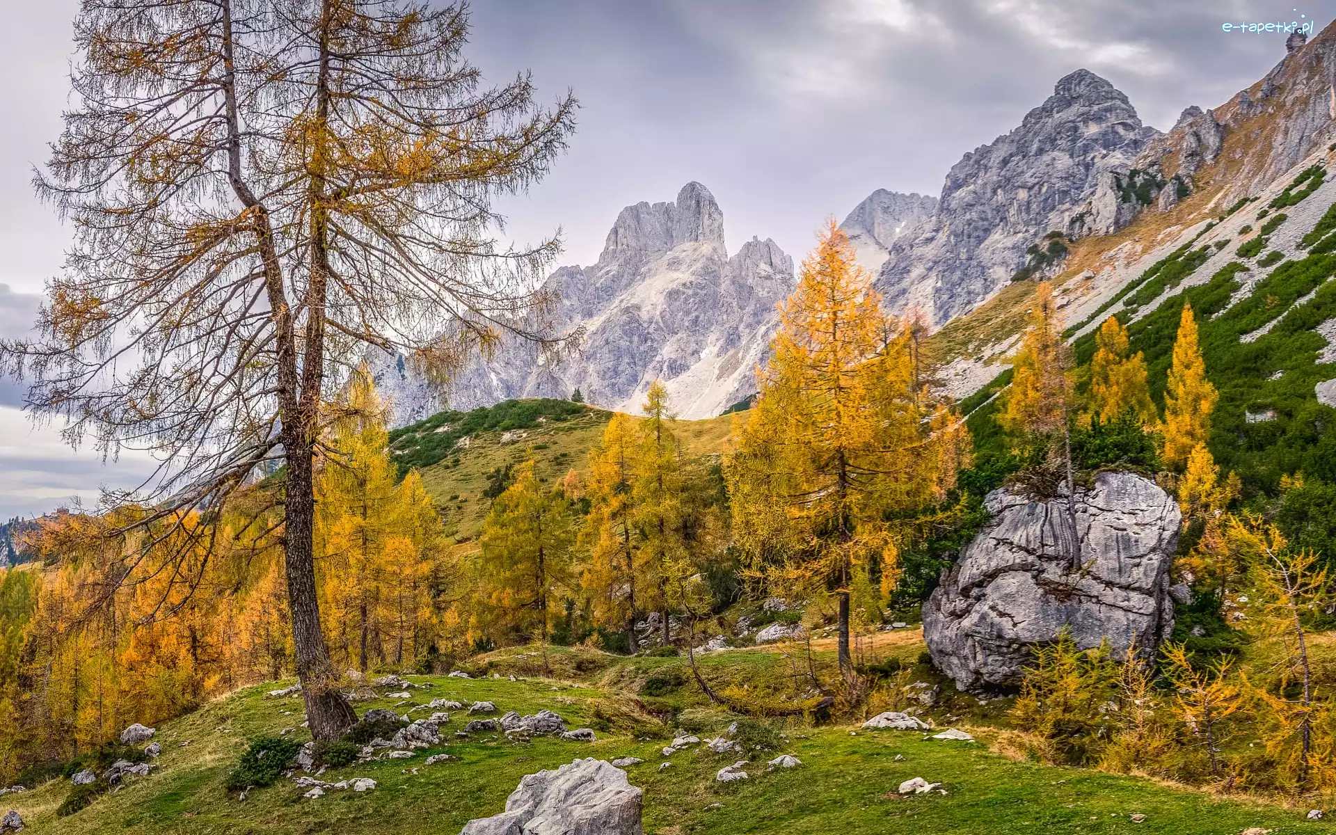 Kamienie, Góry, Alpy, Salzburg, Austria, Jesień, Drzewa