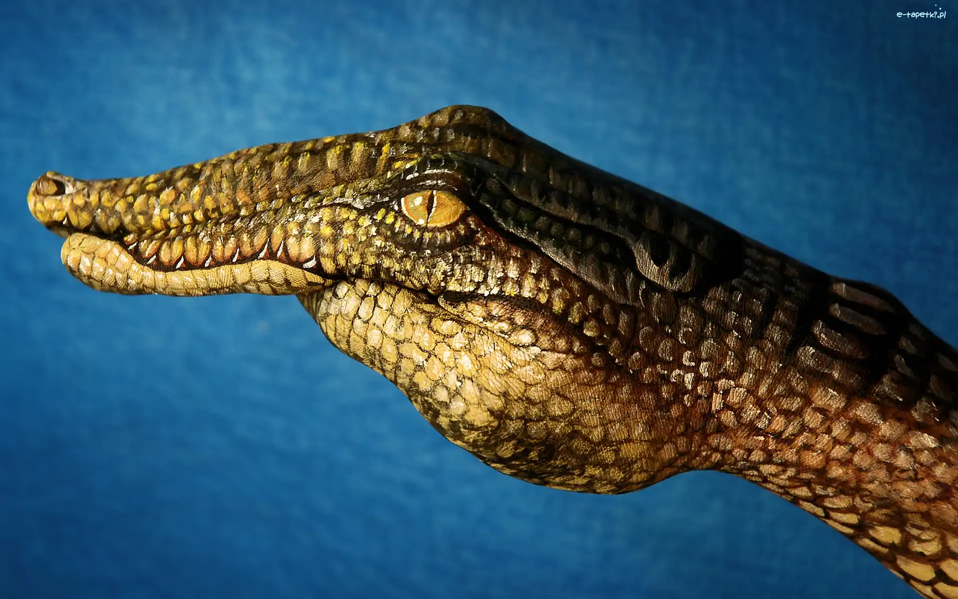Pysk, Bodypaint, Krokodyla, Dłoń