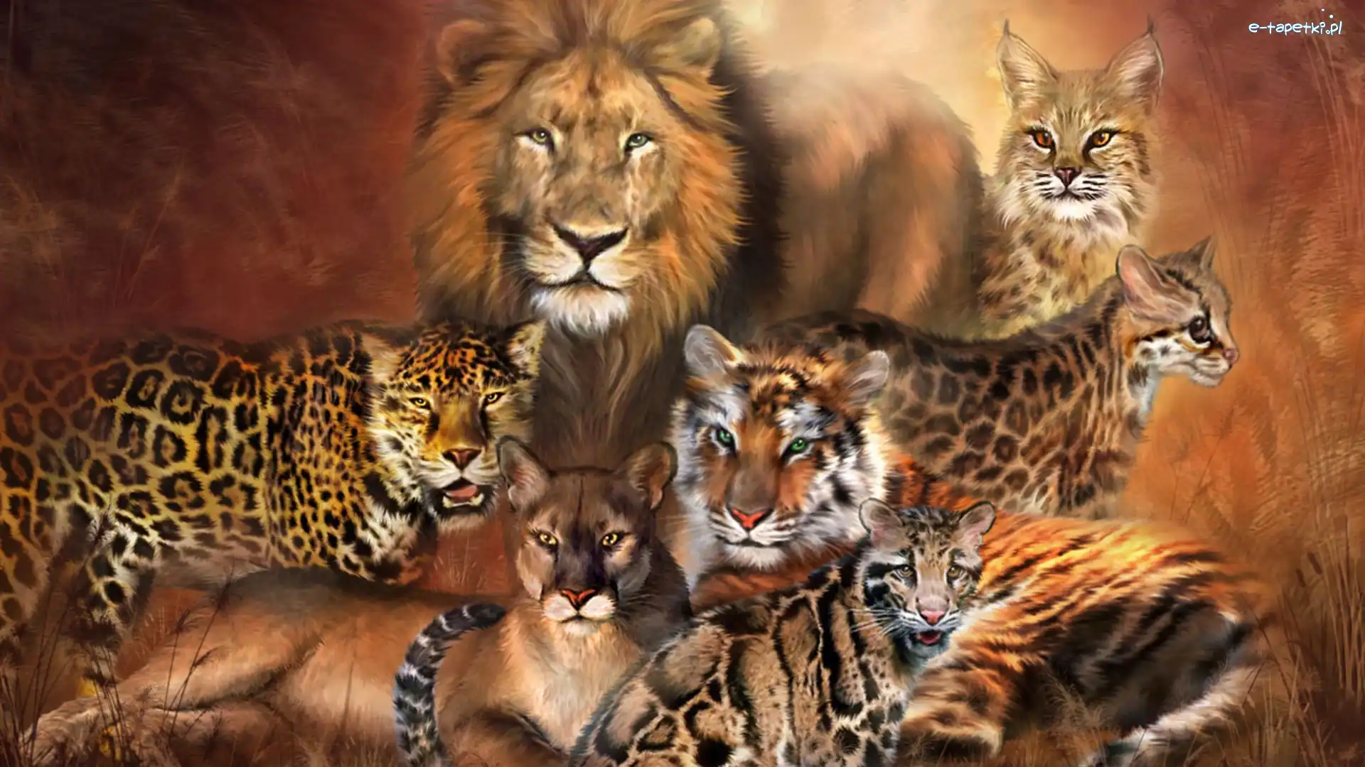 Duże, Puma, Tygrys, Koty, Lampart, Lew