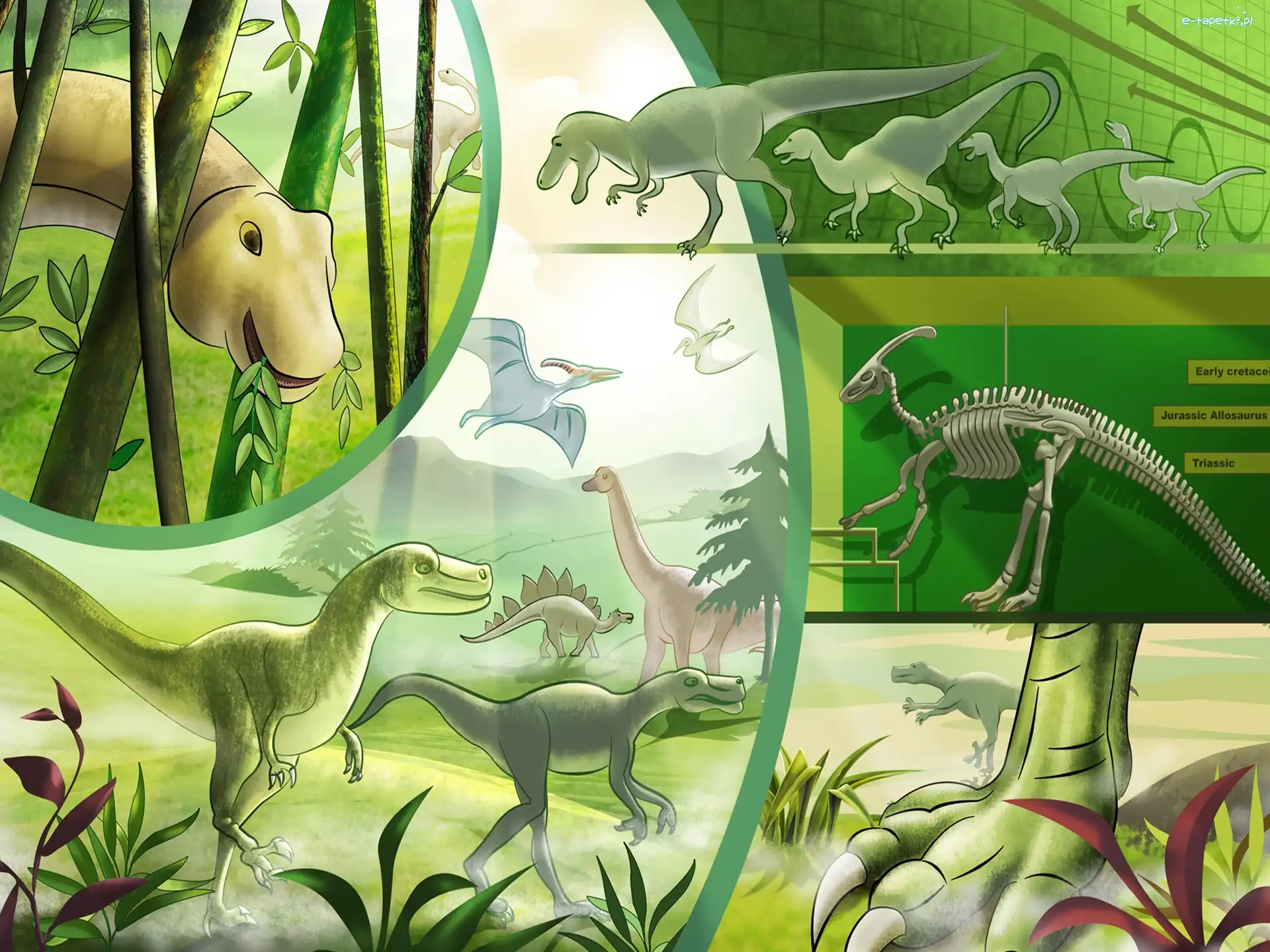 Dinozaury, Różne