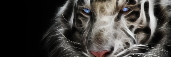 3D, Tygrys, Biały