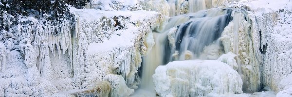 Choinki, Śnieg, Wodospad