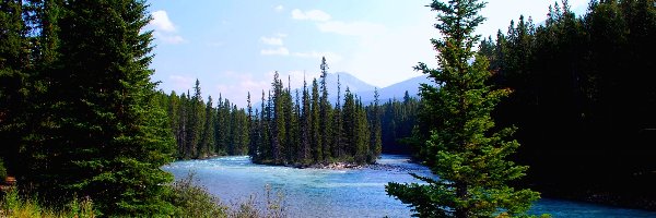 Park Narodowy Banff, Las, Kanada Rzeka
