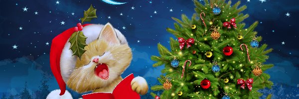Kotek, Boże Narodzenie, Choinka, Świąteczny