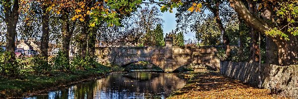 Rzeka, Drzewa, Most, Jesień, Liście