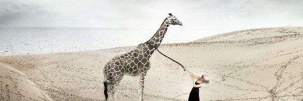 Żyrafa, Plaża, Kobieta, Grafika, Morze