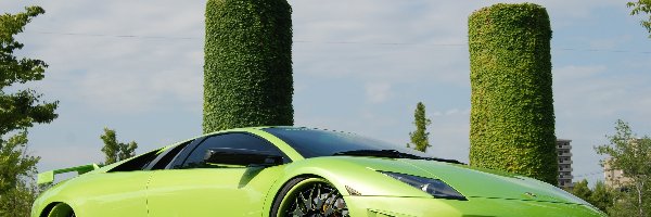 Lamborghini, Zielone
