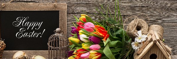 Tulipany, Jajka, Kwiaty, Wielkanoc