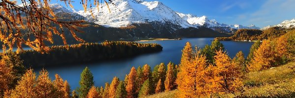 Jezioro, Szwajcaria, Lasy, Góry