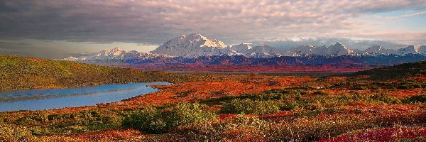 Jezioro, Stany Zjednoczone, Góry, Roślinność, Park Narodowy Denali, Alaska