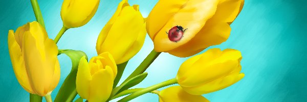 Biedronka, Tulipany, Żółte