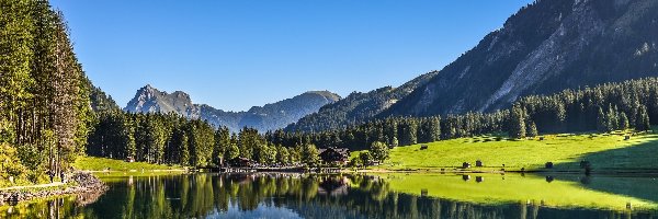 Góry, Lasy, Jezioro, Austria, Tyrol