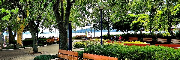 Jezioro, Ławki, Park