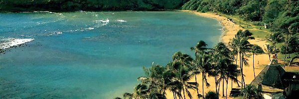 Oahu, Palmy, Góry, Hawaje, Plaża, Morze