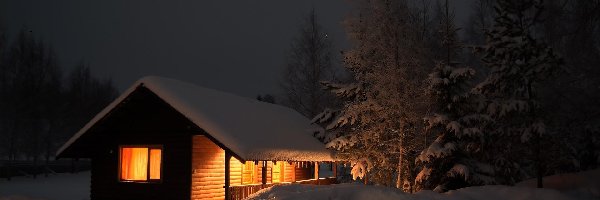Śnieg, Noc, Drzewa, Dom