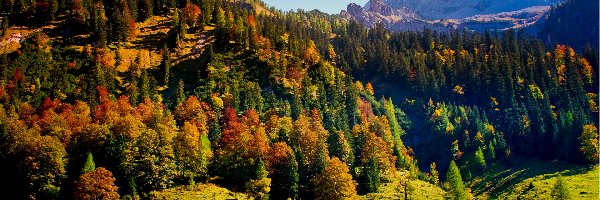 Góry, Karwendel, Jesień, Lasy, Tyrol, Austria