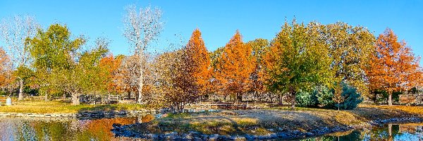 Park, Jezioro, Drzewa, Jesień