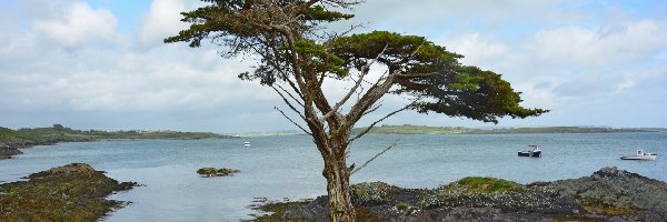 Morze, Kamienie, Drzewo, Statki, Wybrzeże, Irlandia