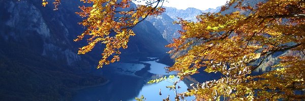 Jezioro, Gałęzie, Góry, Szwajcaria, Glarus