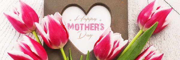 Dzień Matki, Tulipany