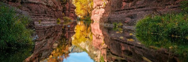 Wąwóz Oak Creek Canyon, Stan Arizona, Odbicie, Rośliny, Sedona, Skały, Rzeka, Stany Zjednoczone