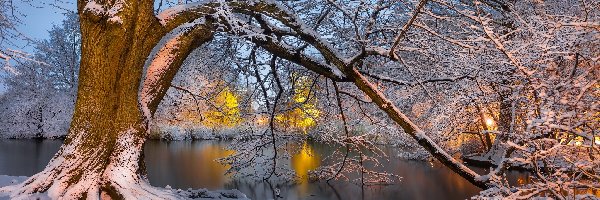 Zima, Ośnieżone, Rzeka, Gałęzie, Drzewa